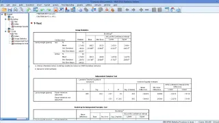 Bootstrapping: Interpretation of results