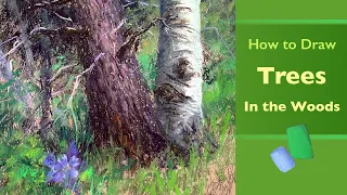 How To Draw Trees in the Woods, Textures and Details