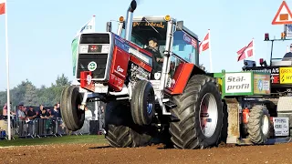 A Half Hour of Massey Ferguson Tractor Pulling from the 2021 Season | 30 Minutes of MF Pulling