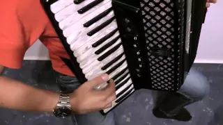 Hot N Cold - Katy Perry | Accordion Cover by Stefan Bauer