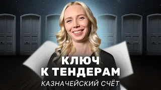 Ключ к тендерам: кейс про казначейский счёт