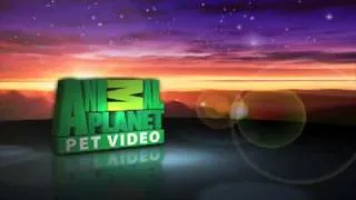 Animal Planet 3D bumpers and logos