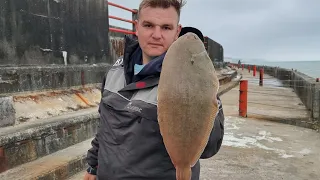 hunting for the Dover sole on Brighton pier- sea fishing UK