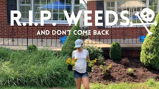 Easiest Way To Get Rid Of Weeds! 🌾// Cheap💰 & Fast🏃‍♀️💨 // Crystal Does