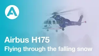 H175 : Flying through the falling snow