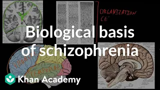 Biological basis of schizophrenia | Behavior | MCAT | Khan Academy