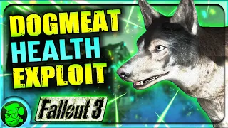 I REGRET Ignoring Fallout 3's Dogmeat Health EXPLOIT
