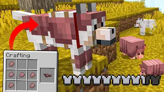 How to Get WOLF ARMOR in Minecraft! (Bedrock and Java)