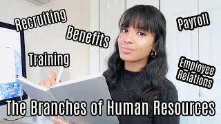 Branches of Human Resources | Working in HR