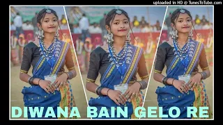 DIWANA BAIN GELO RE DJ  NAGPURI SONG  2024