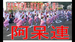 阿呆連　徳島市阿波踊り2023開幕前　流し踊り