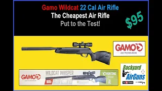 Gamo Wildcat 22 Cal – The Cheapest Air Rifle for $95 with a Scope – Backyard AirGuns -EP23