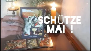 SCHÜTZE Mai 2024 - Liebe, Geld, Beruf und Spirit - Botschaft der geistigen Welt für dich!