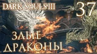 Прохождение Dark Souls 3 — Часть 37: ЗЛЫЕ ДРАКОНЫ