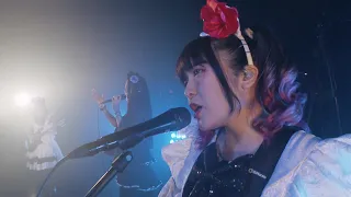 BAND-MAID / Youth [Day Of Maid Live]