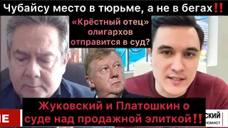 Чубайсу место в тюрьме, а не на вилле в Италии. Жуковский и Платошкин о суде над продажной элиткой