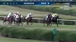 Gulfstream Park West October 25, 2018 Race 5