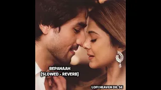 Bepannah - Title Song | [Slowed - Reverb ]|Rahul Jain & Roshni Shah | Lofi Heaven Dil Se