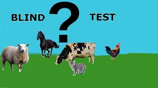 BLIND TEST ANIMAUX (26 cris avec réponses et noms, niveau enfant)