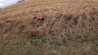 Pheasant Hunting with German Shorthair Pointer