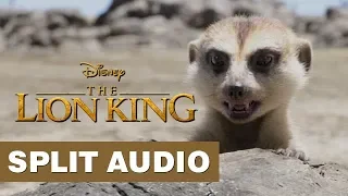 The Lion King (2019) We're Gonna Name Him Fred Clip Music Soundtrack | Split Audio Tracks