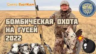 Лучшее видео с лучшей охоты на ГУСЯ ‼️‼️ Снято shotkam ‼️ 2022