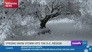 DC sees biggest snowstorm in 3 years