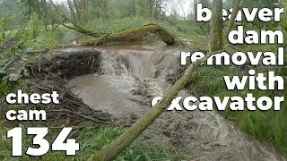 Wet And Dirty Work - Beaver Dam Removal With Excavator No.134