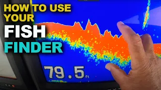 How to use Your Fish Finder | Yellowtail Tips