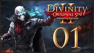 GATHERING THE GANG (Tactician) - Divinity: Original Sin 2 - Definitive Edition - Ep.01!