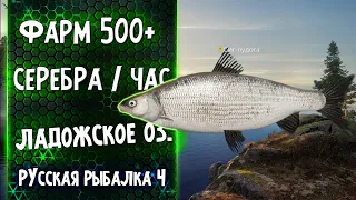 Фарм 500+ Серебра За Час ● Ладожское Озеро ● Путь Универсала ● Русская Рыбалка 4 #4