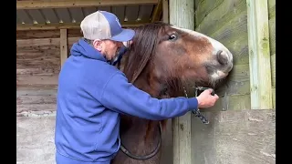 Troubled rescue pony is terrified of new people! Can he be trimmed!?