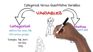 Categorical Versus Quantitative Variables