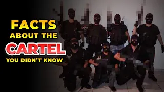 26 Facts about cartel you didn't know (2023)
