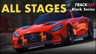 Real Racing 3 RR3 Track Day Black Series (Mercedes-AMG GT): All Stages