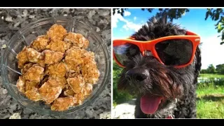 HOW TO MAKE DOG TREATS - EASY RECIPE - Banana, Eggs, Sweet Potato, Oat Meal - Bake, Healthy Baking