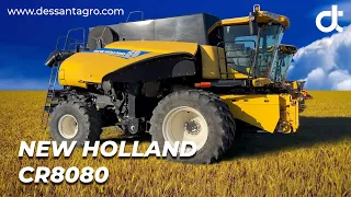 2013 New Holland ￼CR 8080 осмотр перед торгами! Купить комбаин из Америки !