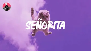 Shawn Mendes - Señorita (Mix) - Maroon 5, Magic!, Katy Perry