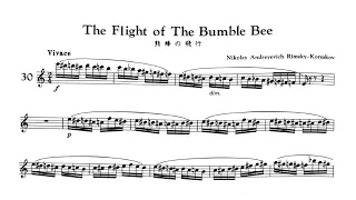 Rimsky Korsakov – Flight of the Bumble Bee ♩=96 (Moderately Slow) Flute & Piano midi with metronome