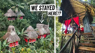 We Stayed in a Treehouse IN THE JUNGLE! Is This Dominican Republic's BEST All Inclusive Hotel??