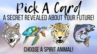 A Secret REVEALED About YOUR Future!✨pick a card✨