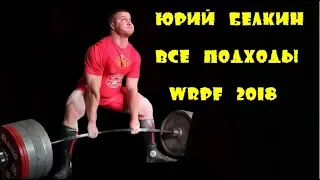 Yury Belkin Юрий Белкин 1015kg 2238lbs WRPF 2018 все подходы