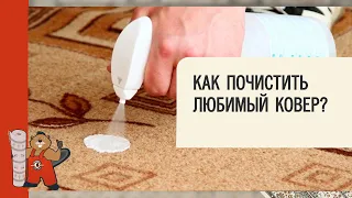 Как почистить шерстяной ковер? Как удалить пятна с ковра? Фабри ка чистки ковров "Ковр-Бобр"