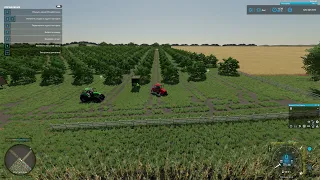 Farming Simulator 22,  Аграрный край с нуля №7 (Год первый, осень)