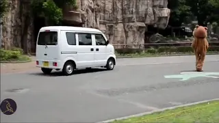 Охота на льва в японском зоопарке (смешное видео)