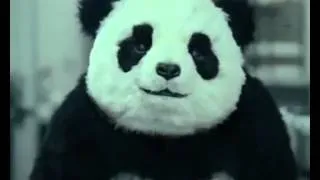 Nunca le digas "no" al Panda