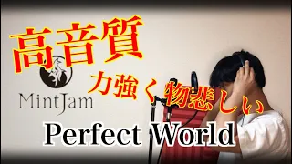MintJam - 『Perfect World』/ Naoya　歌ってみた