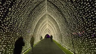 Lightscape at Brooklyn Botanic Garden