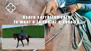 Usare correttamente le mani e le redini a cavallo - Equitazione con Laurettarider - Laura Lorenzetti