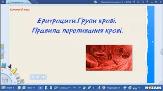 Біологія 8 клас Еритроцити Групи крові Правила переливання крові